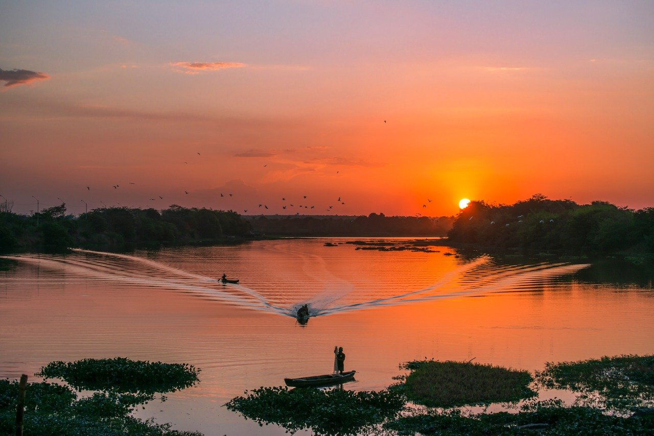 SEMAM lança programação na Semana do Meio Ambiente