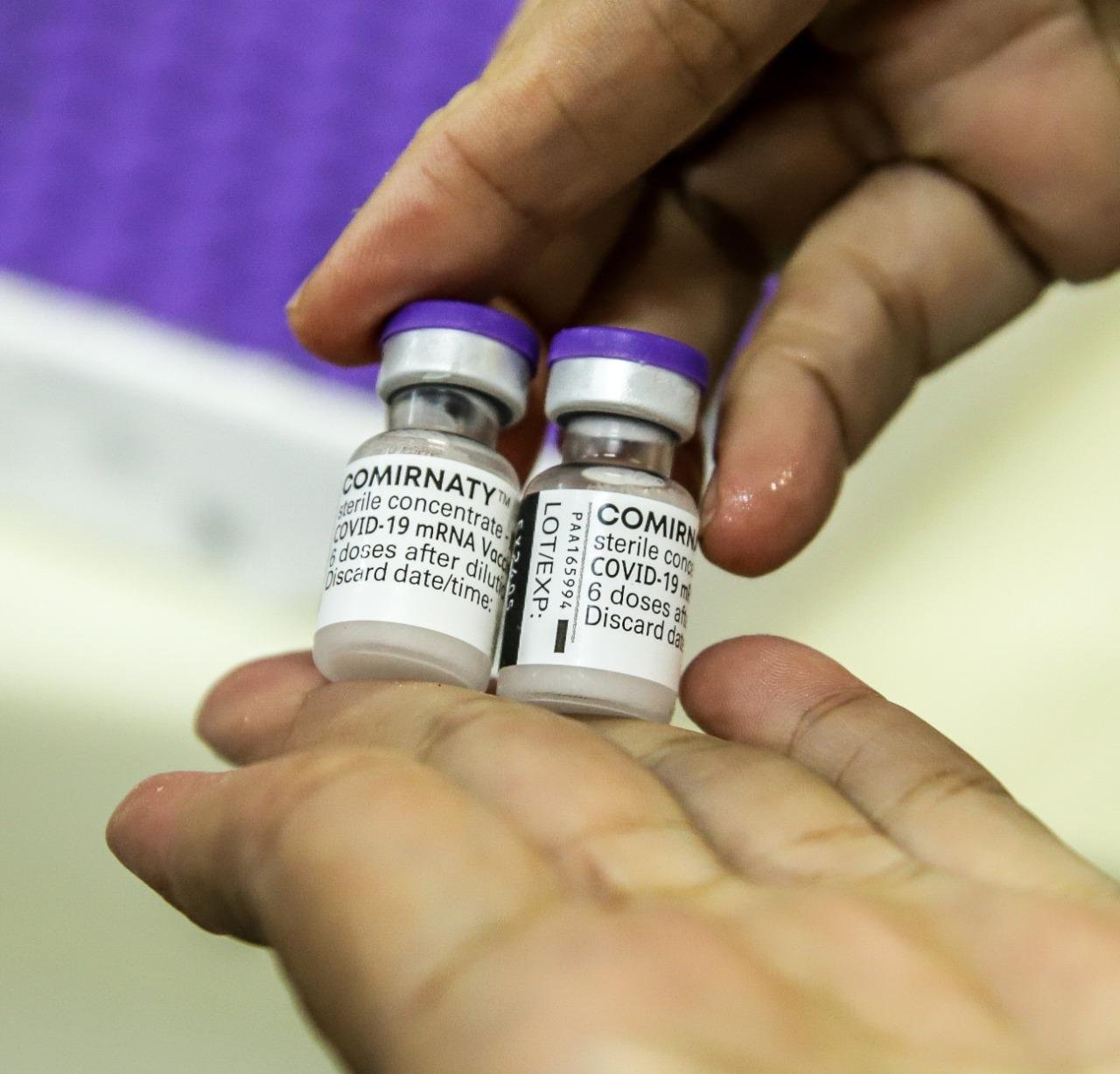 Sesapi debate a distribuição da Pfizer para municípios do Piauí