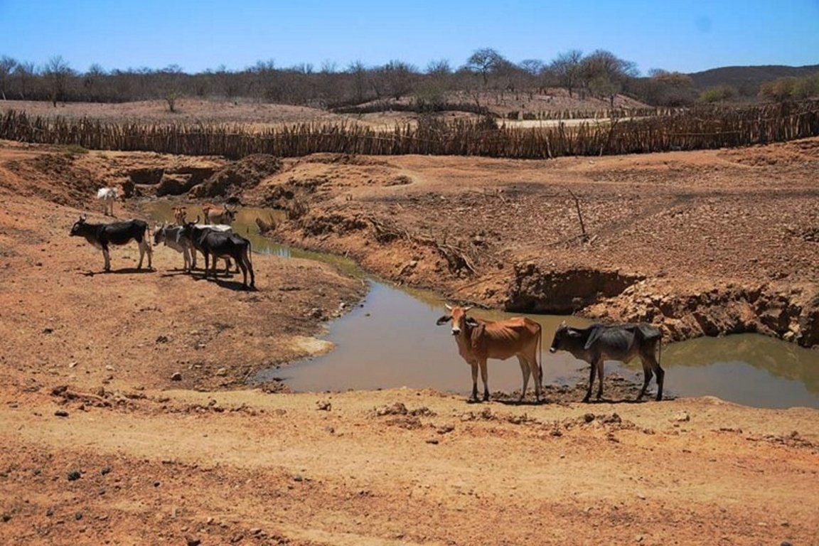 Defesa Civil decreta situação emergência em 34 cidades do Piauí