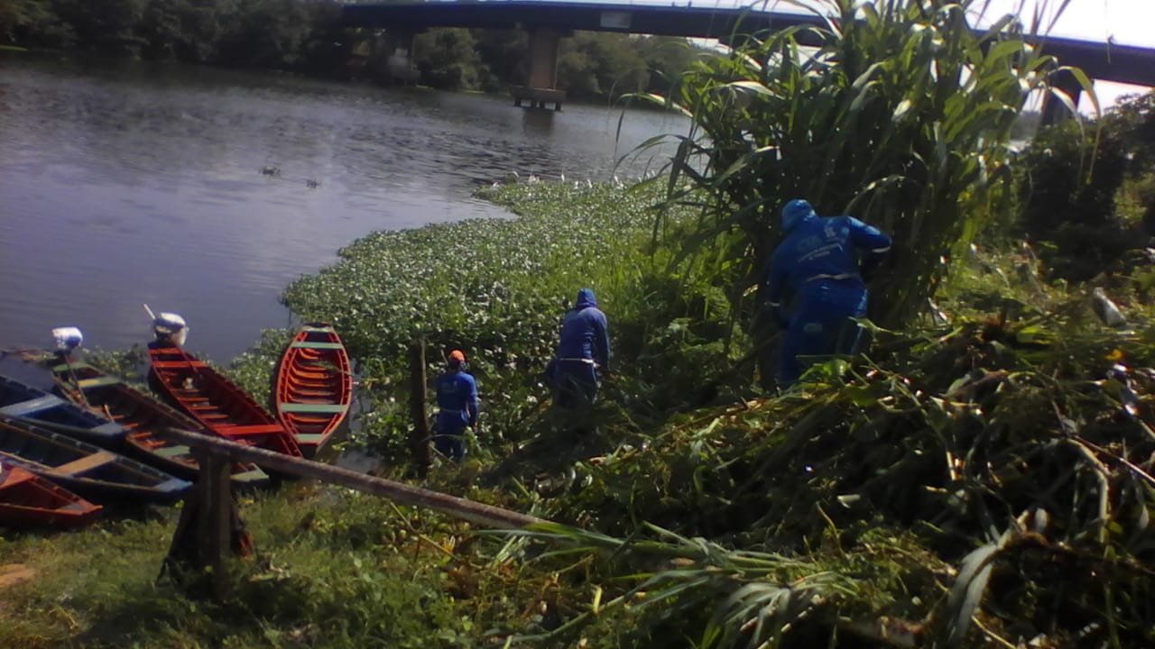 Prefeitura de Teresina inicia retirada dos aguapés do rio Poti
