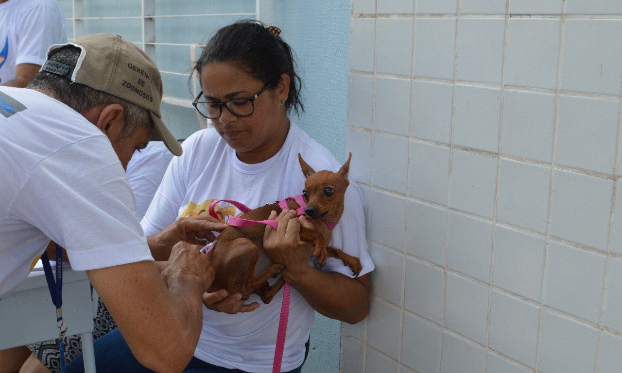 FMS inicia vacinação de cães e gatos neste sábado