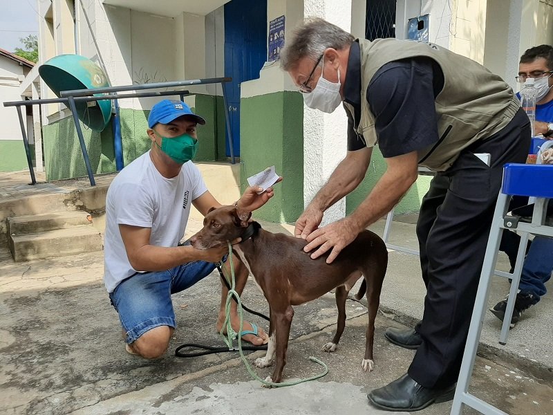 Raiva: FMS inicia a vacinação de cães e gatos em Teresina