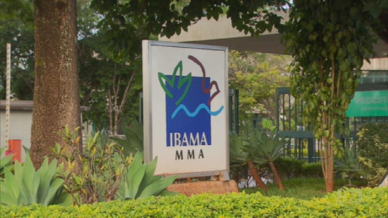 Ibama encerra inscrições de concurso para os níveis médio e superior