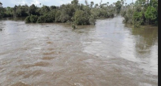 Rio Longá supera cota de inundação em Esperantina