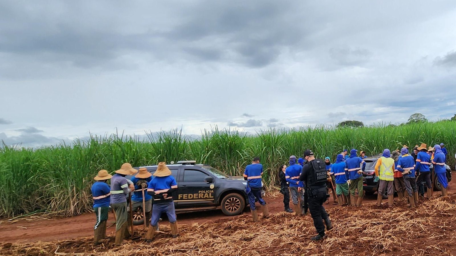 Piauienses são resgatados em trabalho análogo a escravo em Goiás